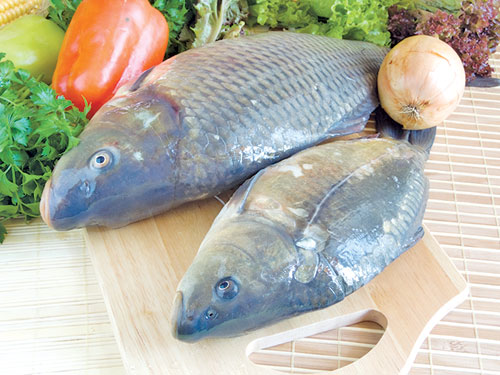Cá chép, củ sen dùng chế biến món ăn cho người bị tiểu đường - Ảnh: Shutterstock