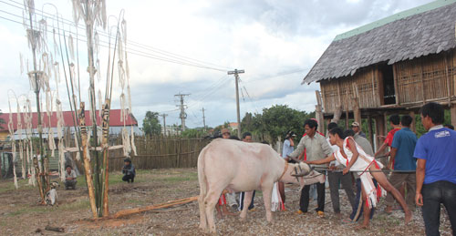 Lần đầu tiên phục dựng lễ hội ăn lúa mới của người Rơ Mâm 1