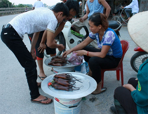 Thịt chuột đồng giá 100 nghìn đồng/kg vẫn đắt khách