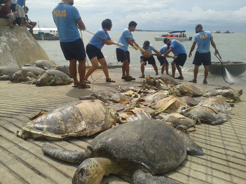 Philippines xử phạt 9 ngư dân Trung Quốc đánh bắt trái phép 2