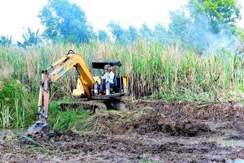 Ruộng mía loang lổ vết cháy của bà Ráng sắp thành ruộng tôm - lúa 