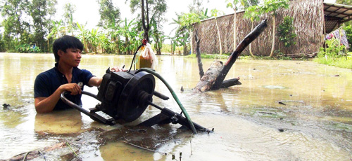 Người dân ở Khánh Bình Tây tích cực bơm nước cứu lúa