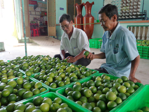 Châu Thành đẩy mạnh xây dựng nông thôn mới