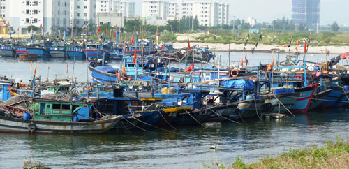 Đà Nẵng nâng cấp tàu đánh bắt xa bờ theo chương trình vay đóng tàu theo Nghị định 67/2014/NĐ-CP