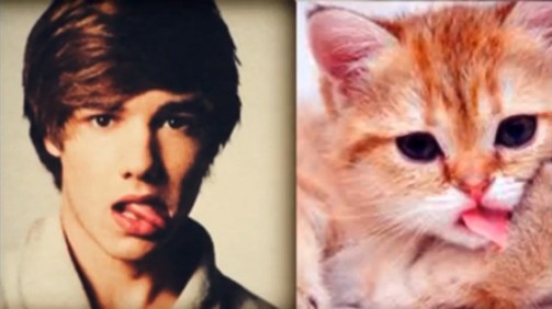 One Direction - những chú mèo đáng yêu