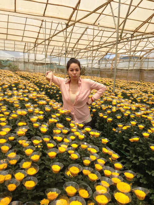 Nhật Kim Anh “chuyển nghề” đi làm vườn 8