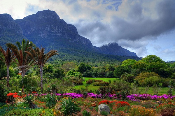  Khám phá những khu vườn đẹp nhất thế giới - Khu vườn Kirstenbosch, Cape Town, Nam Phi