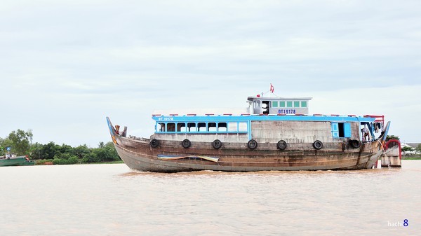 Du kí miền Tây ngày 4: Miệt vườn, chợ nổi sông nước 10