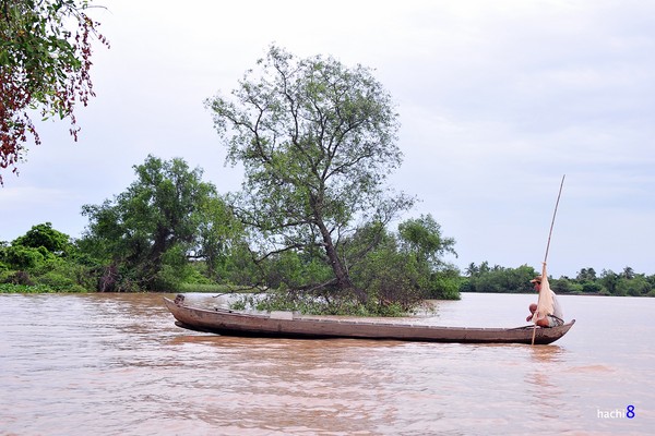 Du kí miền Tây ngày 4: Miệt vườn, chợ nổi sông nước 11