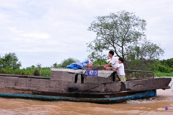 Du kí miền Tây ngày 4: Miệt vườn, chợ nổi sông nước 12