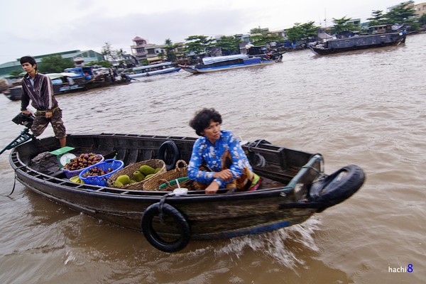 Du kí miền Tây ngày 4: Miệt vườn, chợ nổi sông nước 4