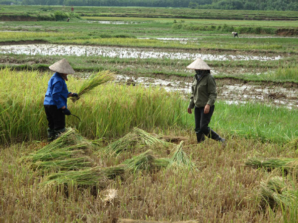 Nơi phụ nữ “tự quản” 11