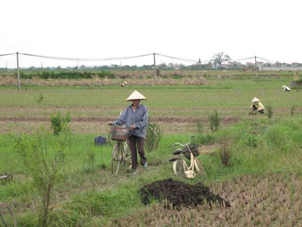 Nơi phụ nữ “tự quản” 10