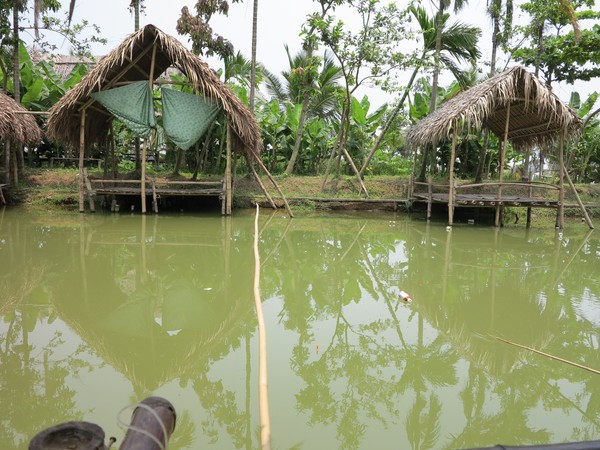 Khách đến quán thư thái buông cần đợi cá đớp mồi