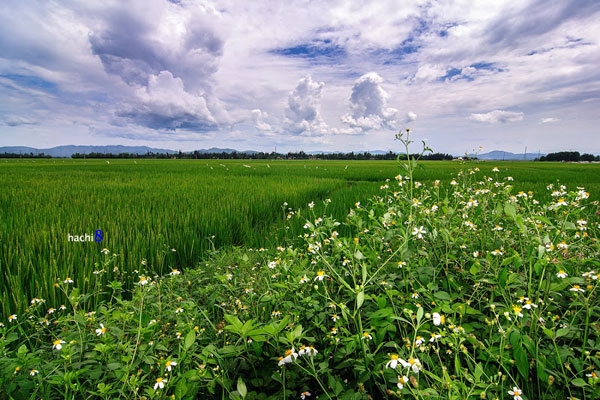 Ngày 2 (18/4): Vinh – Phong Nha – Đồng Hới (258km) 41