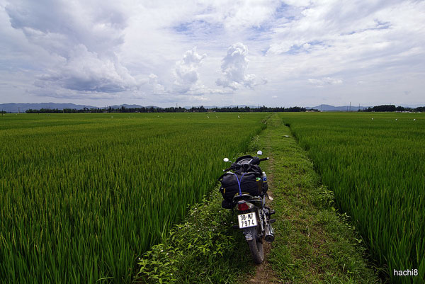 Ngày 2 (18/4): Vinh – Phong Nha – Đồng Hới (258km) 42