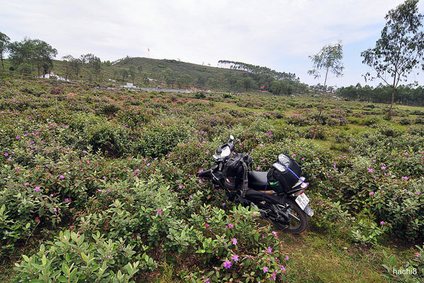 Ngày 2 (18/4): Vinh – Phong Nha – Đồng Hới (258km) 34