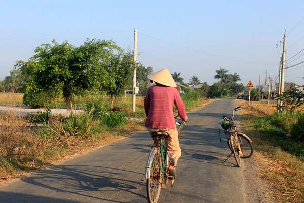 Miền quê Long An trong nắng hè 13