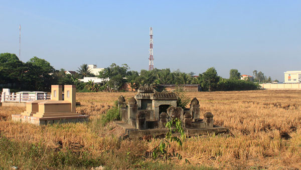 Miền quê Long An trong nắng hè 4