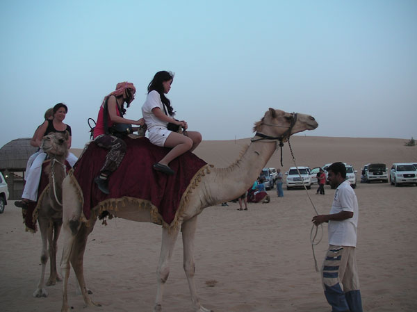 Khám phá sa mạc Dubai 23