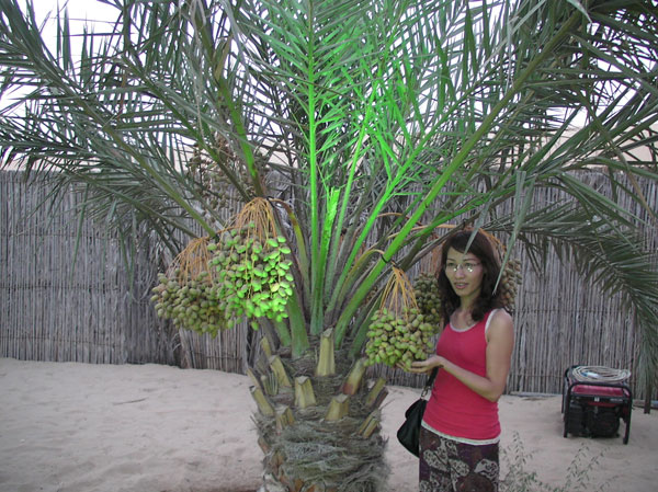 Khám phá sa mạc Dubai 27