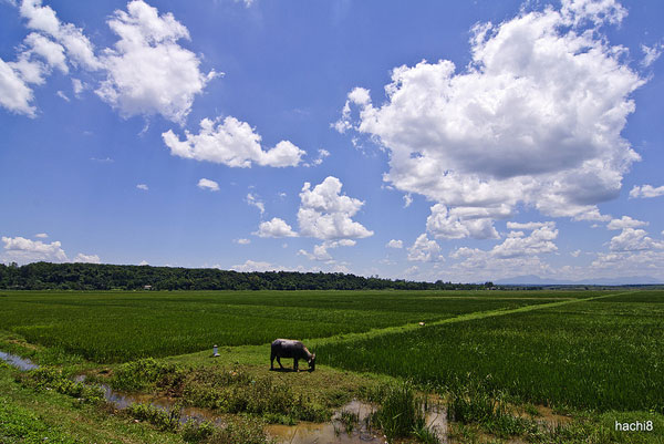 Ngày 2 (18/4): Vinh – Phong Nha – Đồng Hới (258km) 28