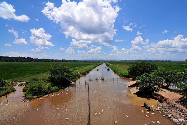 Ngày 2 (18/4): Vinh – Phong Nha – Đồng Hới (258km) 29