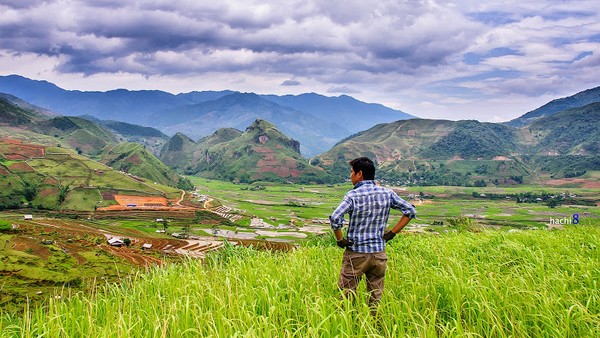 Những cánh đồng cỏ giữa bao la núi trời