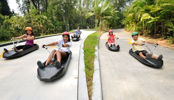 Hình 6 – Thiết kế đặt biệt của xe trượt Skyline Luge - Ảnh: Sentosa