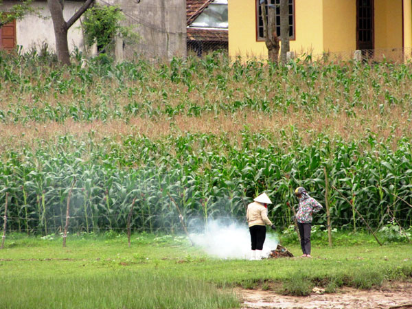 Lên thuyền thưởng ngoạn động Tiên Sơn 5