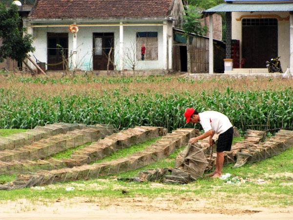 Lên thuyền thưởng ngoạn động Tiên Sơn 8