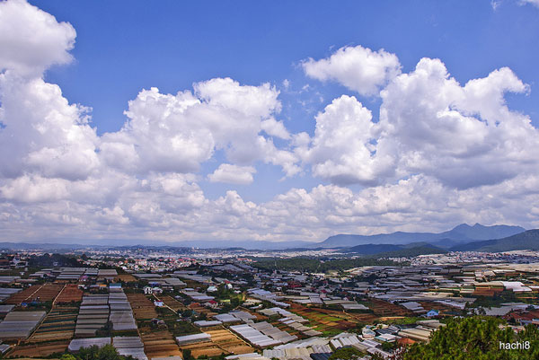 Ngày 15 (1/5) : Đà Lạt – Phan Rang – Mũi Né (252km) 4