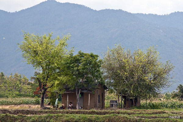 Ngày 15 (1/5) : Đà Lạt – Phan Rang – Mũi Né (252km) 5