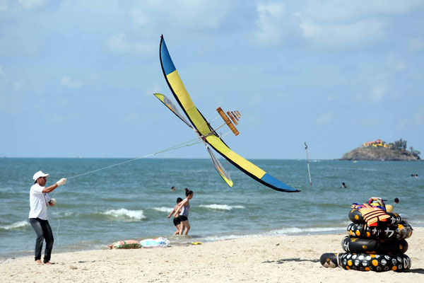 Liên hoan diều quốc tế Vũng Tàu lần thứ V 13