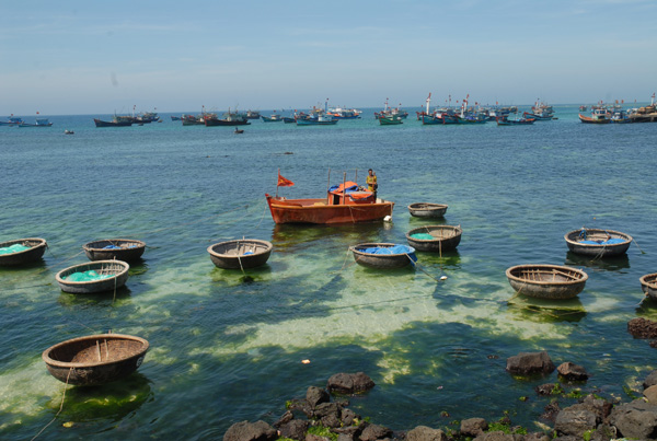 Trải nghiệm thú vị ở đảo Lý Sơn 1