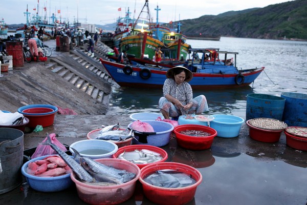  Thành quả của các ngư dân sau một đêm đánh bắt ngoài khơi