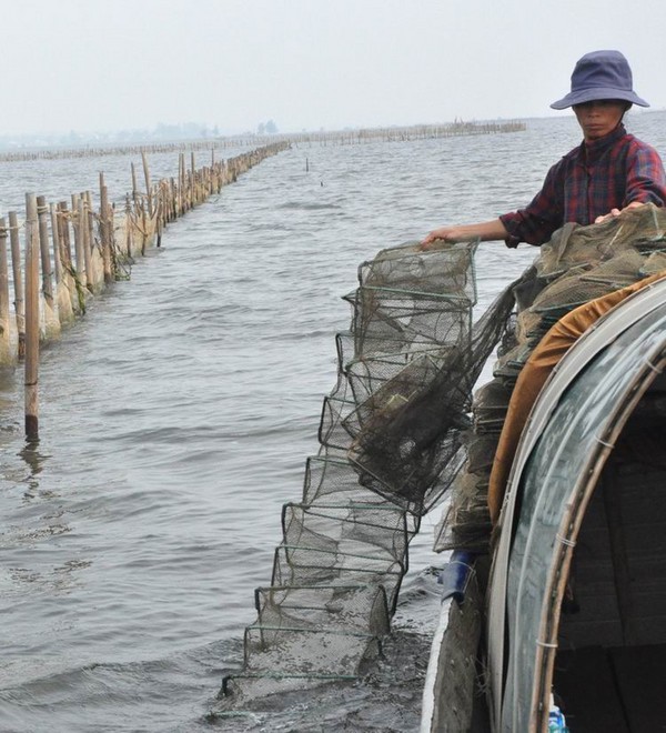 Chiều trên phá Tam Giang