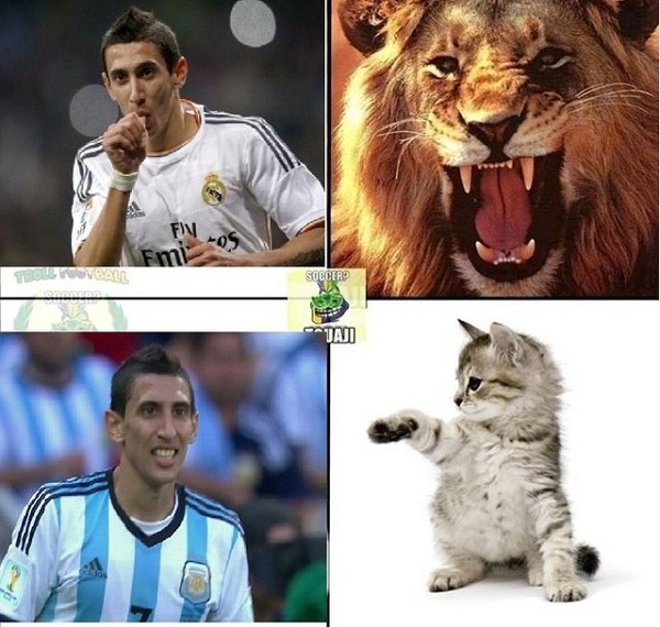 Đá cho Real Madrid thì Di Maria mạnh mẽ như sư tử còn đá cho đội tuyển Argentina tại World Cup thì hiền như mèo con