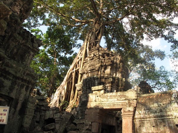 Angkor 9