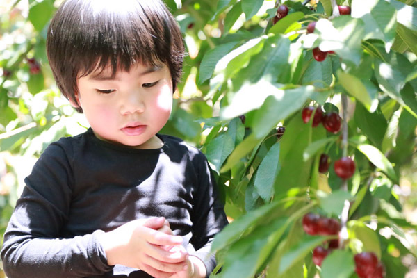 Con trai Trương Minh Cường - bé Louis năm nay được 4 tuổi, trông rất kháu khỉnh, nhanh nhẹn và đáng yêu