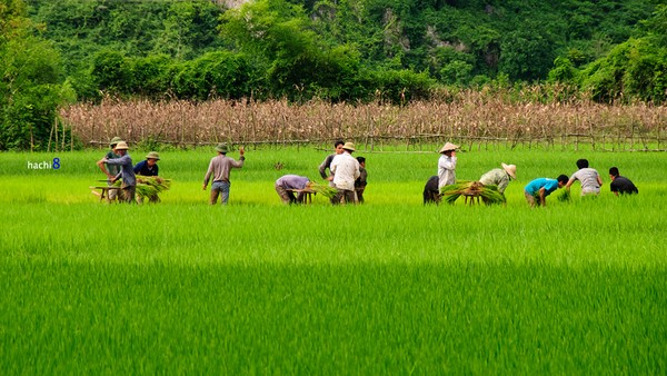 Cung đường qua thung lũng đá vôi tại Hữu Lũng, Lạng Sơn tuyệt đẹp 3