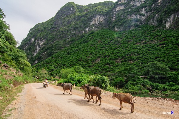 Cung đường qua thung lũng đá vôi tại Hữu Lũng, Lạng Sơn tuyệt đẹp 5