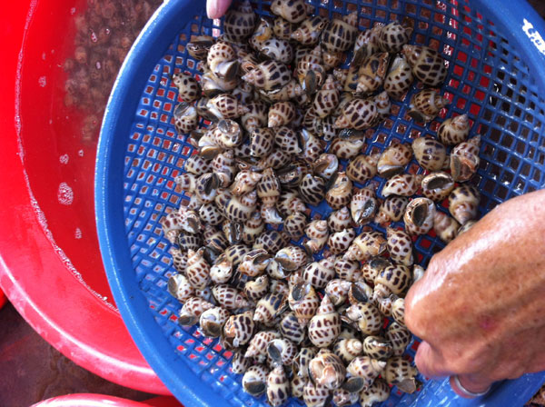 Ăn hải sản siêu tươi ngon ở Đà Nẵng 5