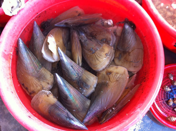 Ăn hải sản siêu tươi ngon ở Đà Nẵng 7