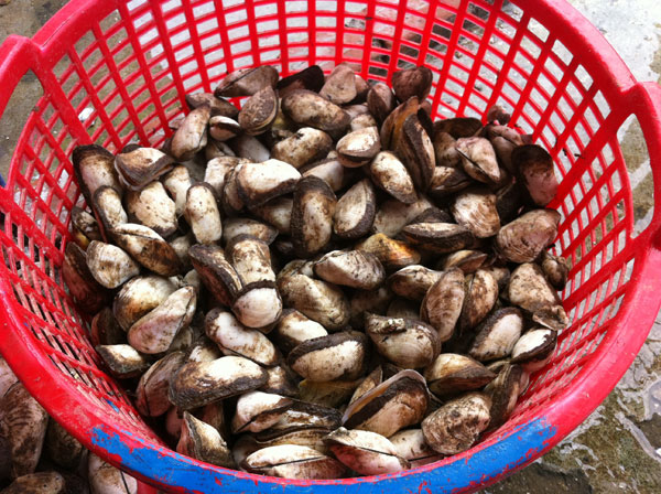 Ăn hải sản siêu tươi ngon ở Đà Nẵng 8