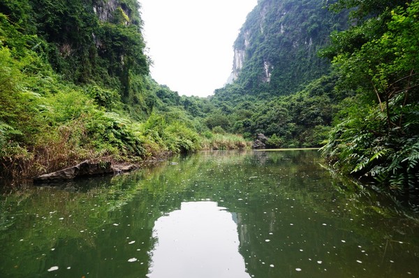 Thiên nhiên Tràng An như lung linh và huyền diệu hơn