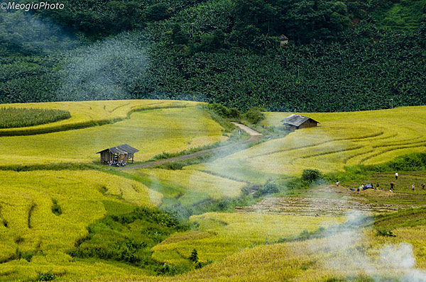 Kỳ 3: Thu vàng Y Tý 1