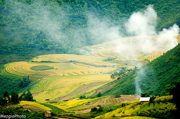 Kỳ 3: Thu vàng Y Tý 3