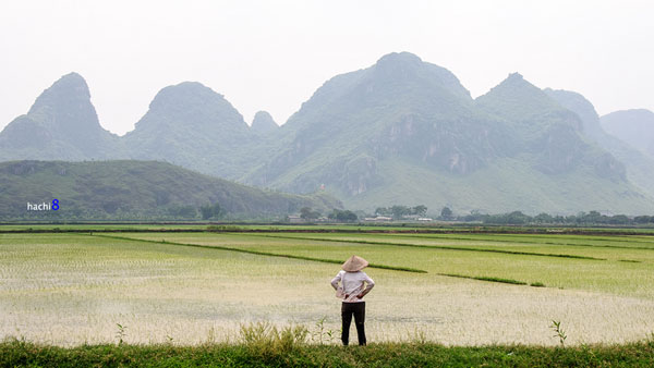 Lang thang trên những lối mòn tuyệt đẹp quanh núi Quan Sơn 14