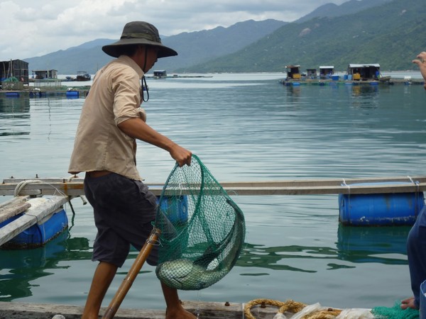 Lang thang đá núi bán đảo Hòn Hèo 6